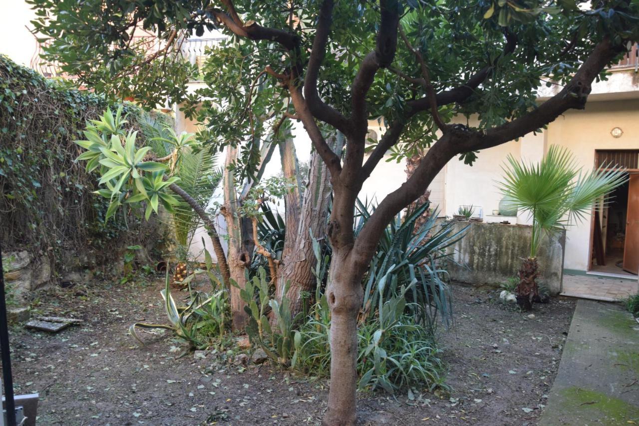 ArtRoom Garden Noto Buitenkant foto