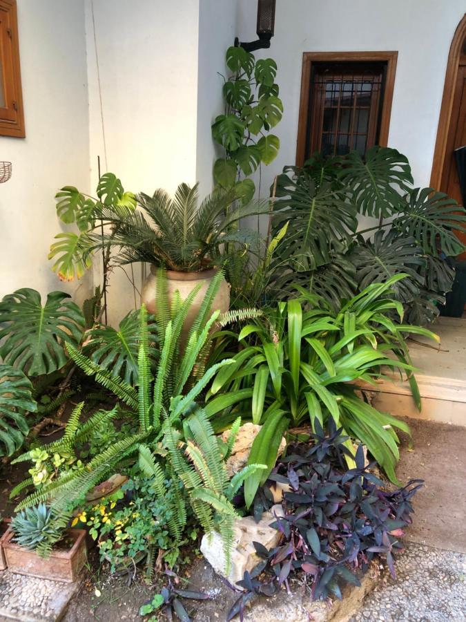 ArtRoom Garden Noto Buitenkant foto