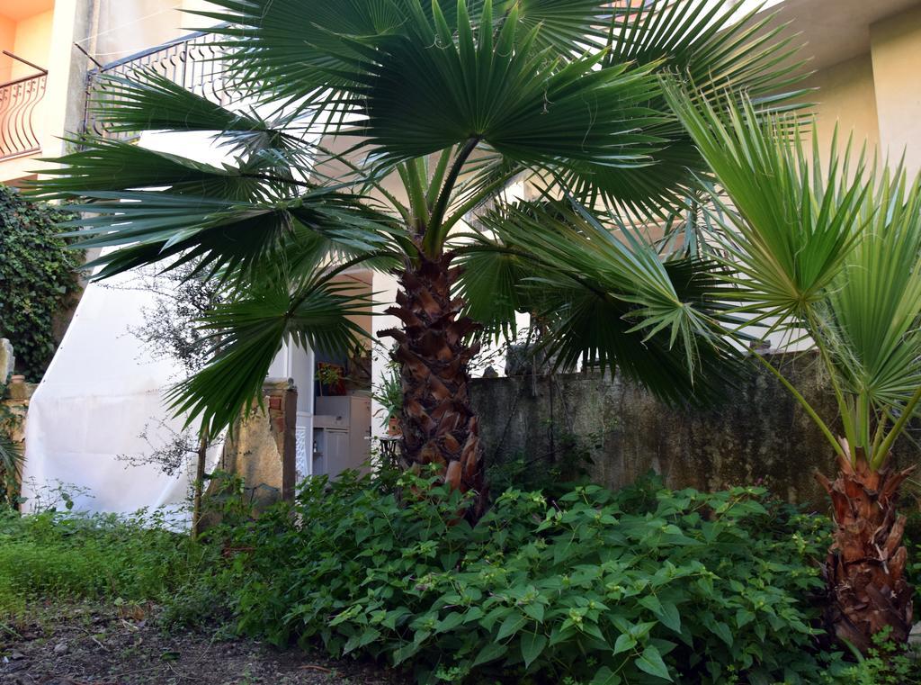 ArtRoom Garden Noto Buitenkant foto